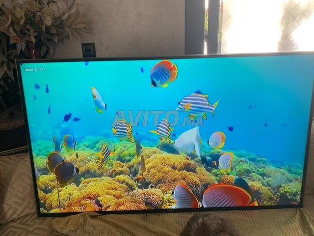 TV Samsung 55 pouces - 2