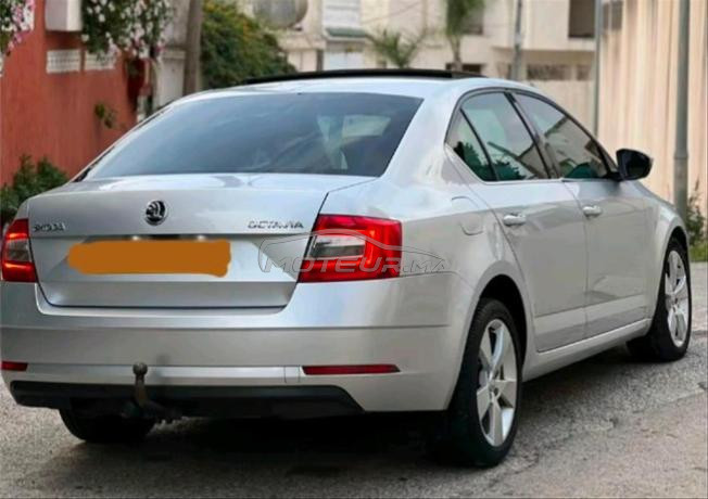 skoda octavia 2019