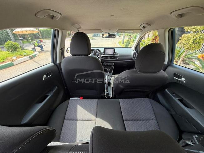 Kia Picanto Essence Automatique 2025 à Casablanca