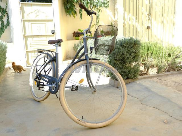 Vélo Italiano encore propre - 2