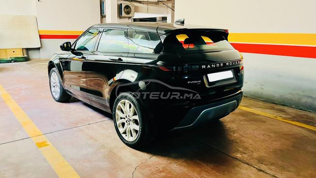 Evoque Bebe velar 