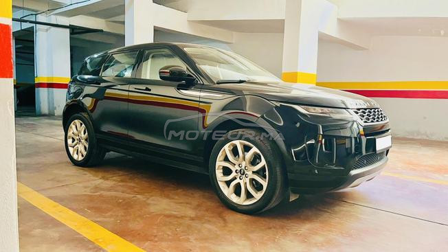 Evoque Bebe velar 