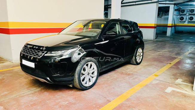 Evoque Bebe velar 