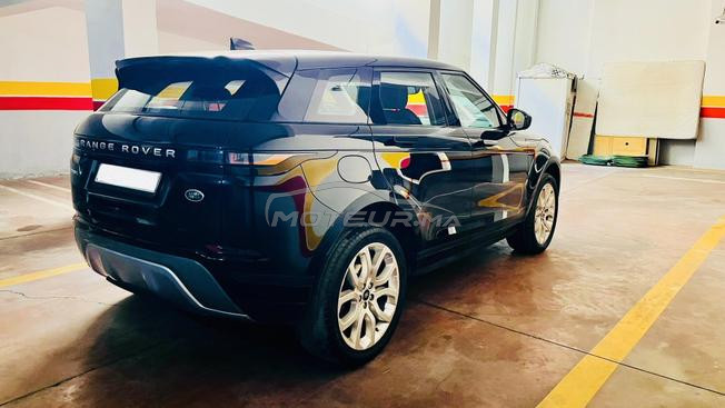 Evoque Bebe velar 