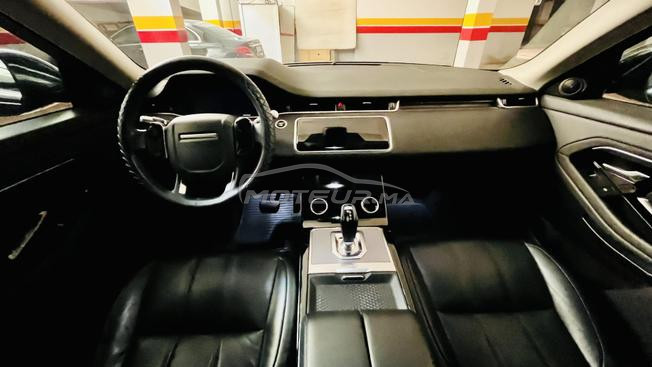 Evoque Bebe velar 