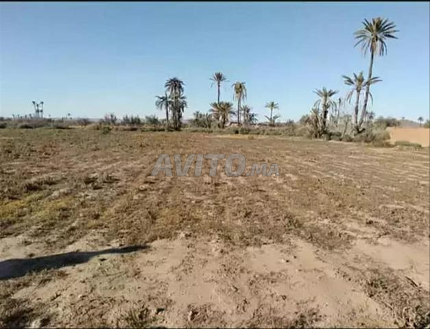 Terrain 7 200 m² – Vue dégagée sur l’Atlas