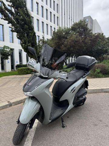 هوندا SH 350 I موديل 2026 رمادي ناردو - 2