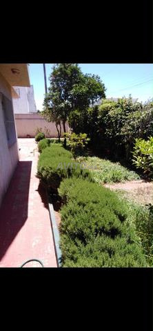Villa Eucalyptus Mohammedia - 2