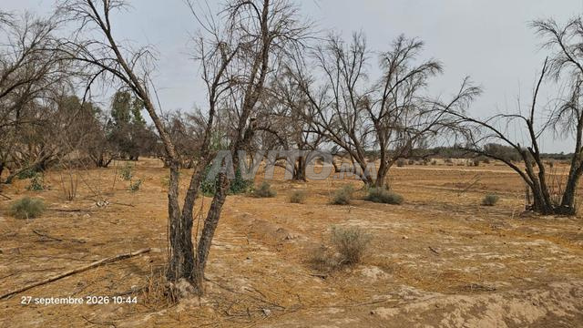تارودانت سيدي بورجا - 2