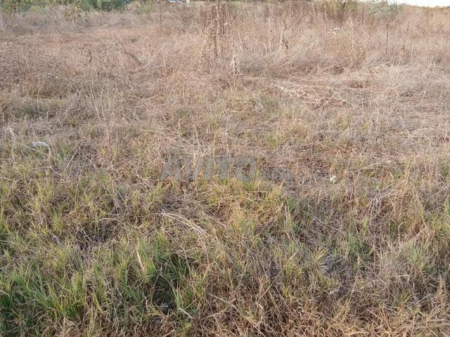 2 TERRAINS À VENDRE - SOUISSI - RABAT - 2000m² CHACUN - 2