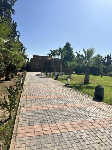 جوهرة نادرة على أبواب مراكش - 2