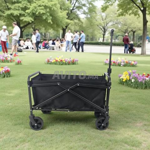 Chariot pliable de jardin ou de camping - 2