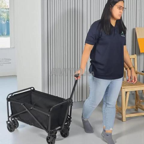 Chariot pliable avec grande capacité - 2