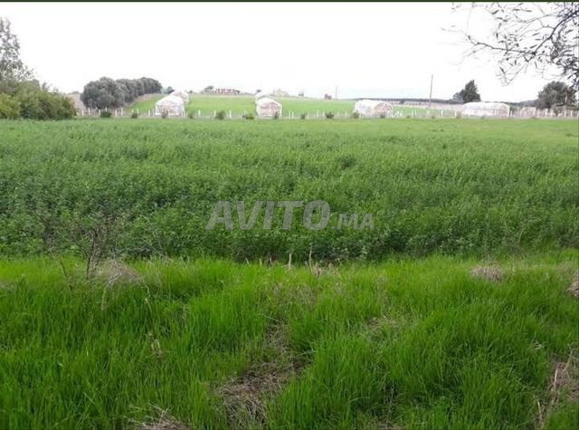 Ferme entièrement équipée à vendre, 78 hectares - 2