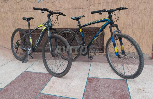 Les deux vélos - 2
