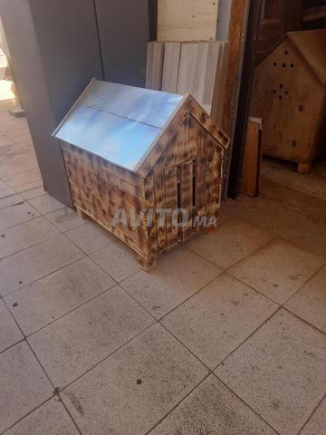 منزل للكلاب - 2