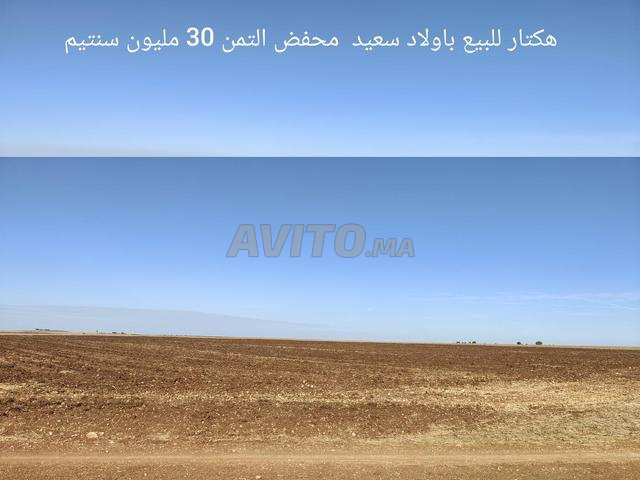 عقارات أولاد سعيد - 2