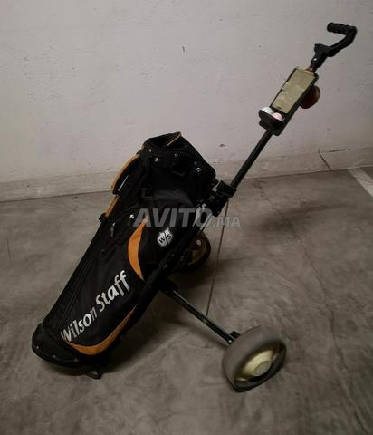 Chariots de golf - 2