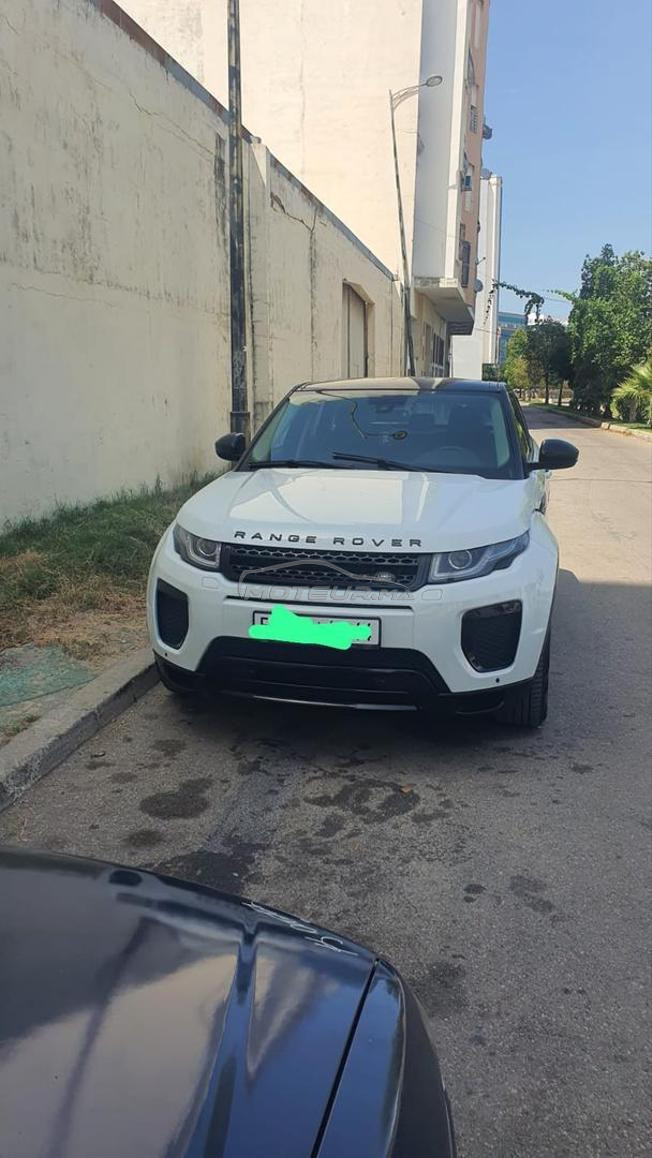 وسط طنجة المغرب
