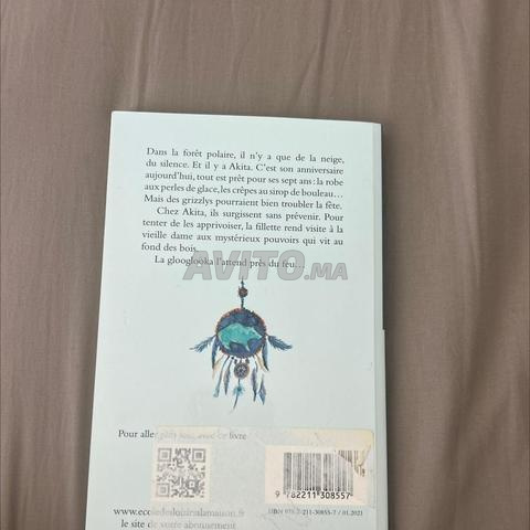 كتاب أكيتو والدياب الرمادية - 2