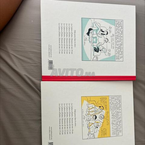Lot 2 Bandes Dessinées Les cahiers d’Esther - 2