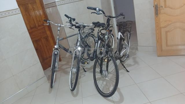 بن طيب الدريوش