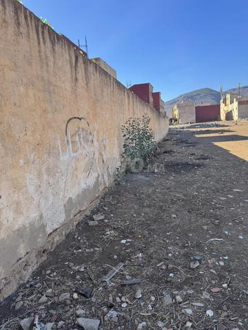 Bouyzarzan - 2