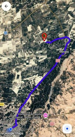 مزرعة فلاحية مغروسة ومجهزة بآبار ومنزل - 2