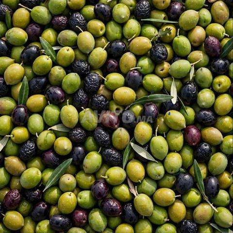 Excellente olive - 2