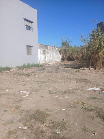 Terrain sur la rue principale de Laâouama 50 mètres