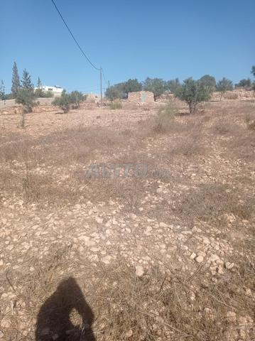 الحرارثة، دوار المساسة - 2