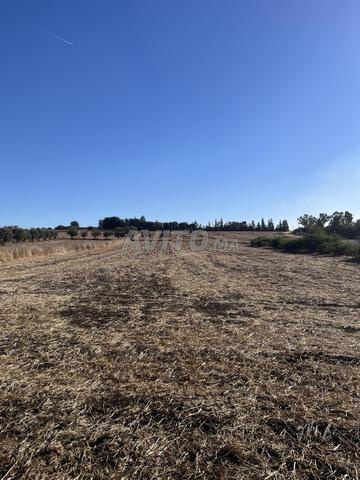 Terrain agricole - 2