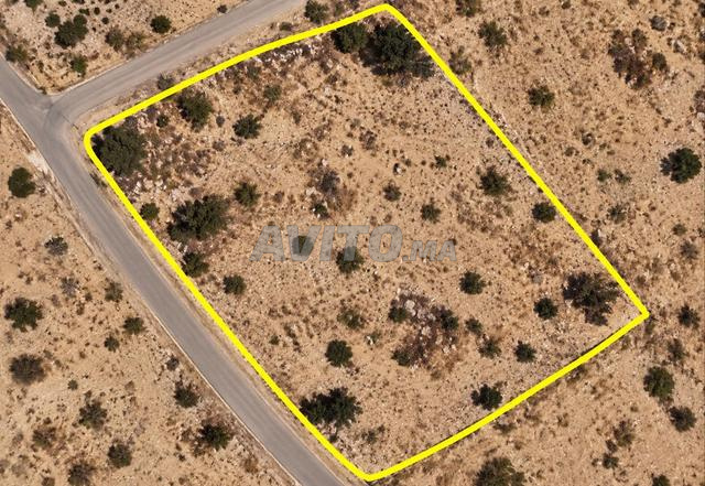 À vendre terrain industriel titré 11 400 m² avec 3 façades – Ouled Teima