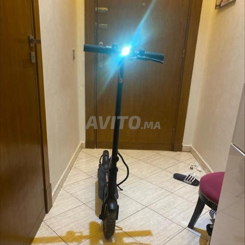Trottinette modèle Twofich V1 Max - 2