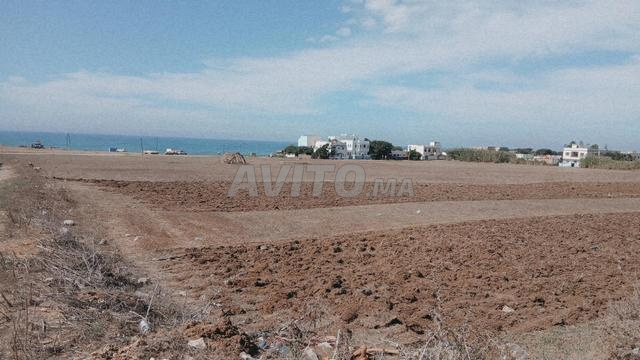 Terrain titré à investir près de la ville d'Asilah