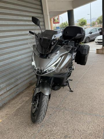 هوندا NT 1100 - 2