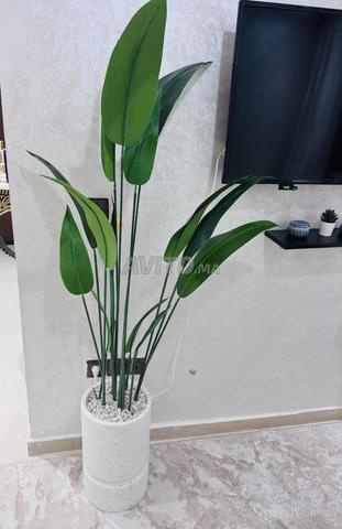 3 plantes artificielles à vendre - 2