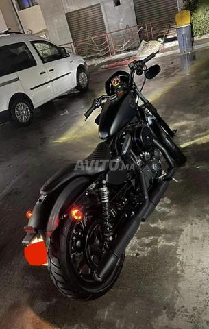 Harley Davidson 883 - 2