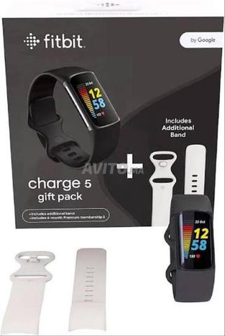 سوار تتبع النشاط Google FitBit - 2