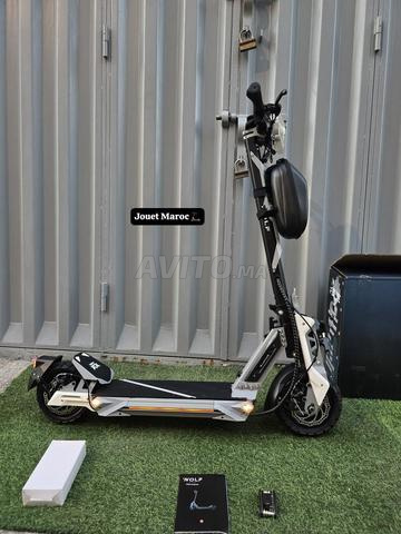 ⚡️TROTTINETTE ECOXTREM BISON WOLF - 2
