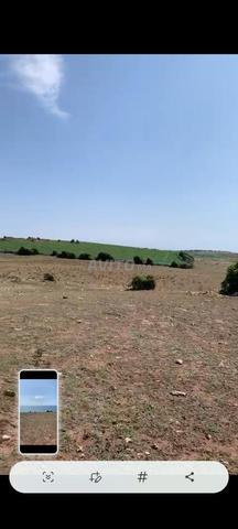 Terrain 80ha titre touristique Salé - 2