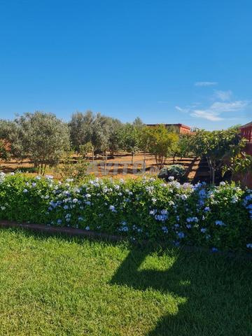 Ferme 1 hectare avec villa de 140 m² - Berrechid
