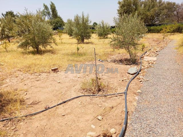 Route Abdellah Guirat - 2