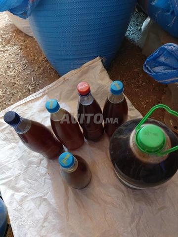 عسل حر طبيعي جودة ومذاق من قلب الطبيعة🍯🌱 - 2
