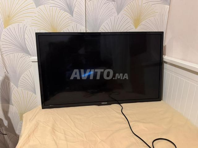 Télévision 32 pouces 60hz avec support - 2