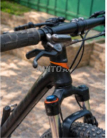 Vélo d'huile d'origine - 2