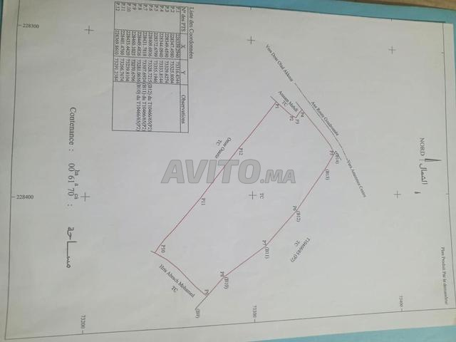 Terrain d’investissement – 6 000 m² à Amizmiz - 2