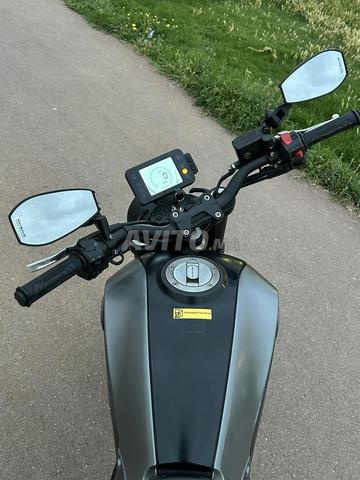Benelli Leoncino 250 - 2