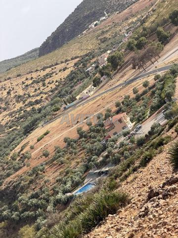 Terrain 55000 m2 sur la route - 2