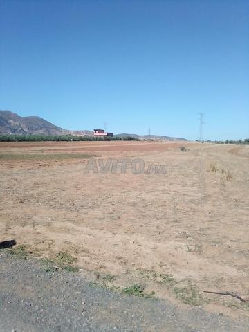 Kaldaman terrain agricole 6000m²